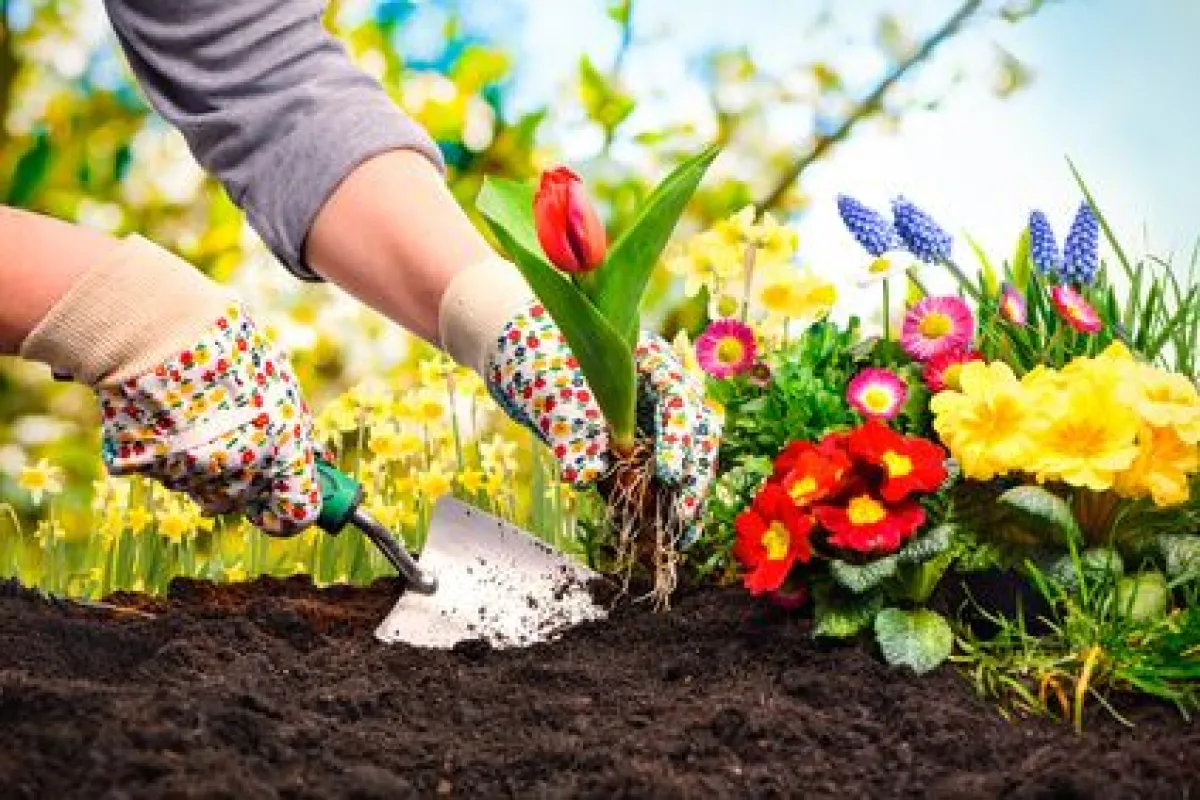 Les outils indispensables du bon jardinier - Mon jardin d'idées