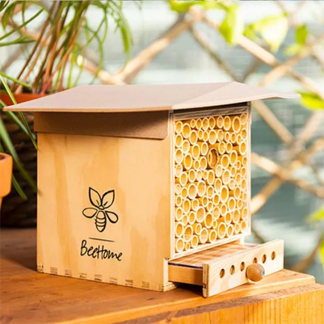 BeeHome Observer crème