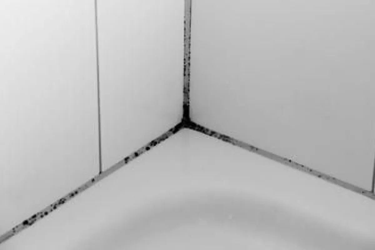 Moule noir se formant sous joint en silicone dans le coin d'une salle de  bains ou d'une baignoire Photo Stock - Alamy