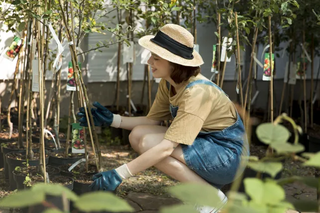 Comment se débarrasser des vers blancs dans un jardin ?