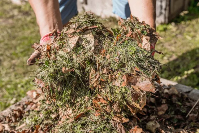 Vous pouvez mettre les chutes de tonte de pelouse dans votre compost