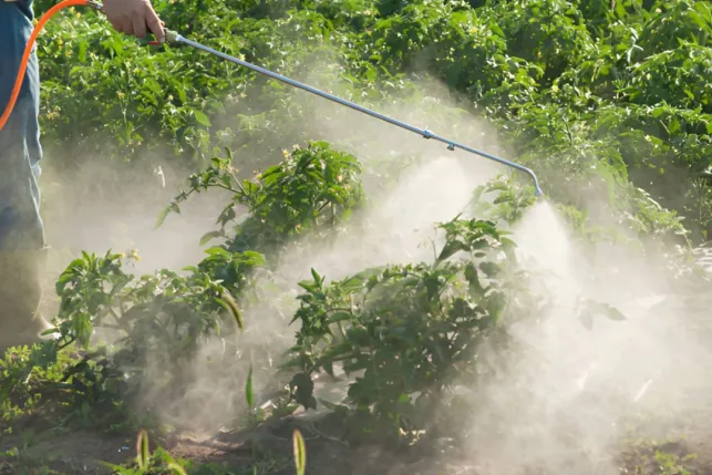 Le désherbage vapeur est simple à faire pour un jardin plus sain ! 