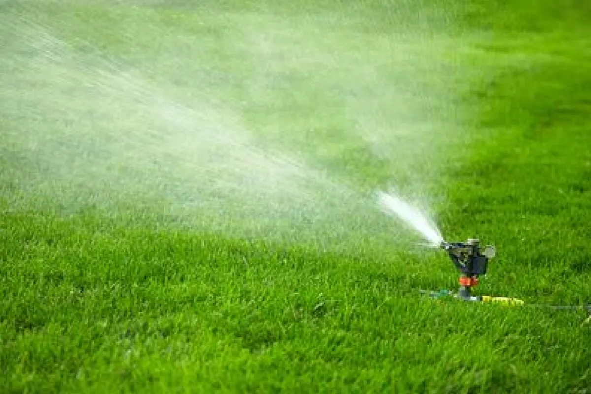 Comment réduire votre consommation d'eau sans négliger le gazon et les  plantes dans la cour