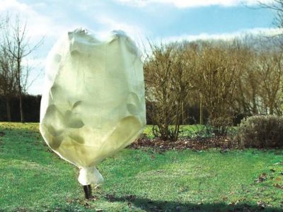 Les voiles d'hivernage pour votre jardin