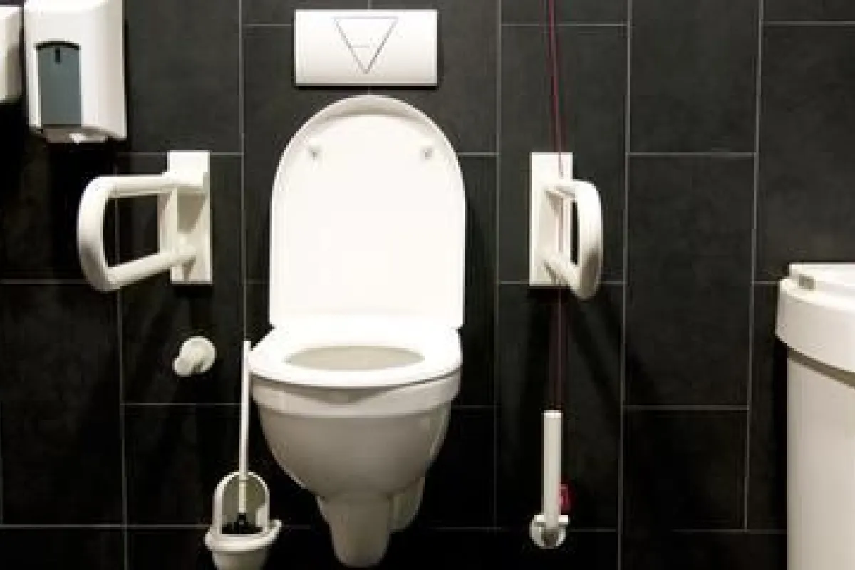 M-Habitat.fr - Inspiration déco pour les toilettes ! Déco pour des WC  modernes 