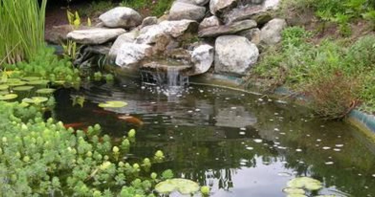 Création bassins d'agréments Beaupréau-en-Mauges – Point d'eau, bassin  aquatique